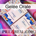 Gelée Orale kamagra1